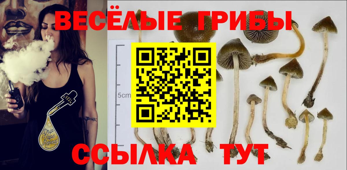 Псилоцибиновые грибы MAGIC MUSHROOMS Георгиевск